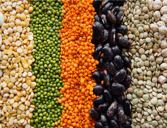 Legumes