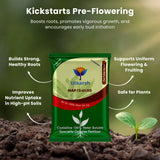 MAP 12 61 00 - Mono Ammonium Phosphate, NPK Fertilizers for Plants Growth & Home Garden | 100% Water Soluble Powder, Foliar Spray Nutrition - 25 Kg Bag
