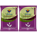 Epsom Salt - Magnesium Sulphate for Plants Growth and Home Garden | 100% Water Soluble Fertilizer | Enhances Photosynthesis & Nutrient Uptake