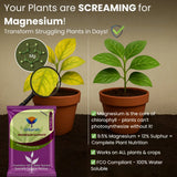 Epsom Salt - Magnesium Sulphate for Plants Growth and Home Garden | 100% Water Soluble Fertilizer | Enhances Photosynthesis & Nutrient Uptake