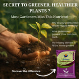 Epsom Salt - Magnesium Sulphate for Plants Growth and Home Garden | 100% Water Soluble Fertilizer | Enhances Photosynthesis & Nutrient Uptake