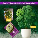 Epsom Salt - Magnesium Sulphate for Plants Growth and Home Garden | 100% Water Soluble Fertilizer | Enhances Photosynthesis & Nutrient Uptake