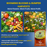 MKP 00 52 34 - Mono Potassium Phosphate, 100% Water Soluble Foliar Spray Nutrition | NPK Fertilizers for Growth, Flowering & Fruiting in Plants, Home Garden - 25 Kg Bag - Utkarsh Agrochem Pvt ltd. 