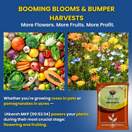 MKP 00 52 34 - Mono Potassium Phosphate, 100% Water Soluble Foliar Spray Nutrition | NPK Fertilizers for Growth, Flowering & Fruiting in Plants, Home Garden - 25 Kg Bag - Utkarsh Agrochem Pvt ltd. 