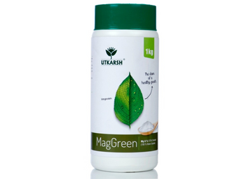 MagGreen (Magnesium - Mg 5% EDTA Chelated Micronutrient)