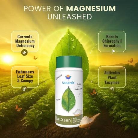 Magnesium - 5% EDTA Chelated Micronutrient, 100% Water Soluble Fertilizers for Plants, Growth Booster for Healthy Green Plants, Crops, Home Garden | MagGreen - Utkarsh Agrochem Pvt ltd. 