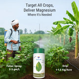 Magnesium - 5% EDTA Chelated Micronutrient, 100% Water Soluble Fertilizers for Plants, Growth Booster for Healthy Green Plants, Crops, Home Garden | MagGreen - Utkarsh Agrochem Pvt ltd. 