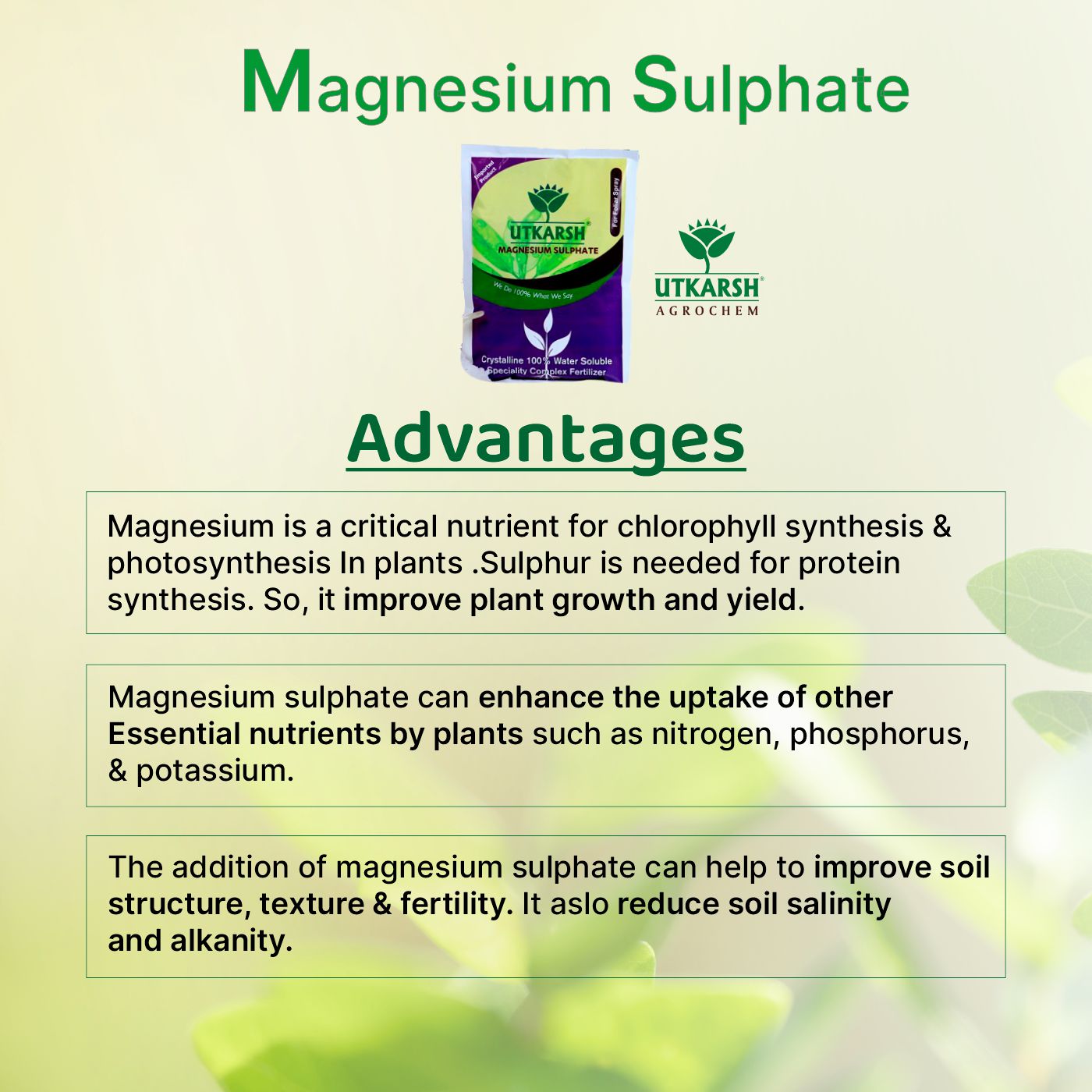 Magnesium Sulphate Fertilizer