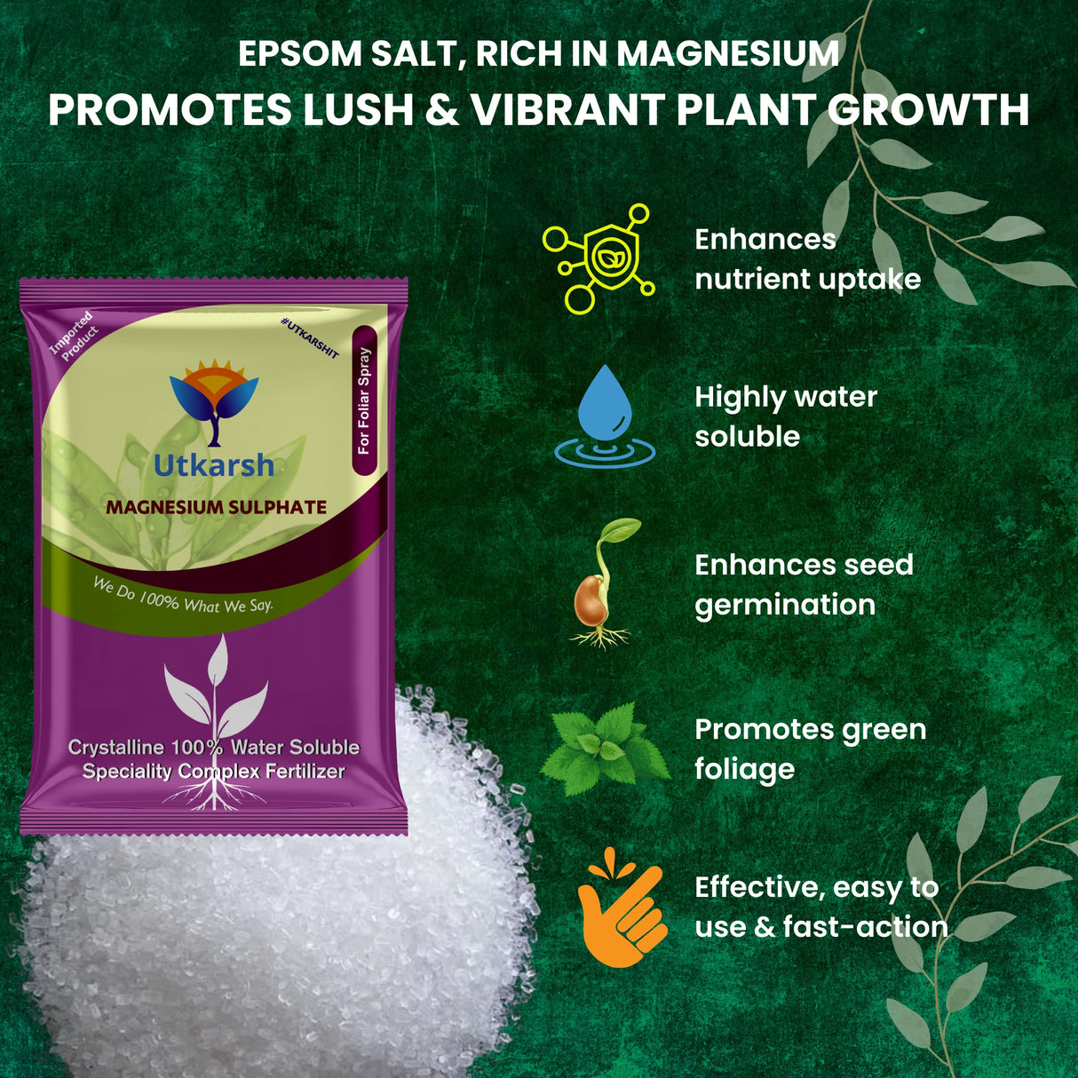 Epsom Salt - Magnesium Sulphate for Plants Growth and Home Garden | 100% Water Soluble Fertilizer | Enhances Photosynthesis & Nutrient Uptake - 25 Kg Bag