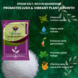 Epsom Salt - Magnesium Sulphate for Plants Growth and Home Garden | 100% Water Soluble Fertilizer | Enhances Photosynthesis & Nutrient Uptake - 25 Kg Bag