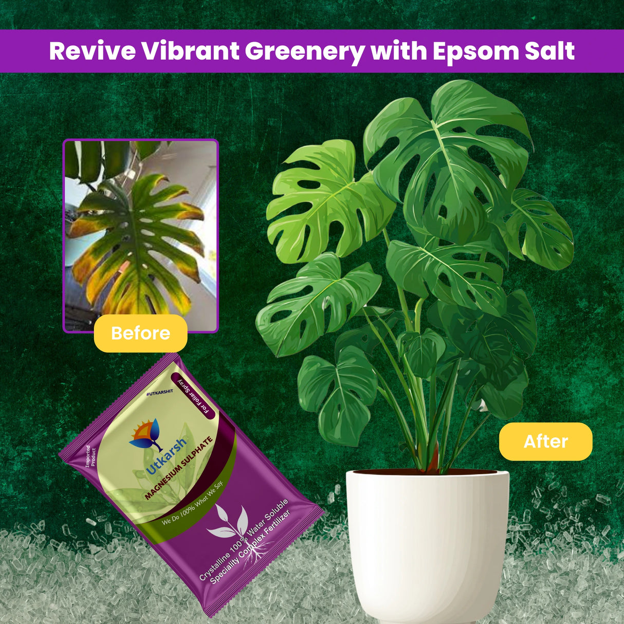 Epsom Salt - Magnesium Sulphate for Plants Growth and Home Garden | 100% Water Soluble Fertilizer | Enhances Photosynthesis & Nutrient Uptake - 25 Kg Bag