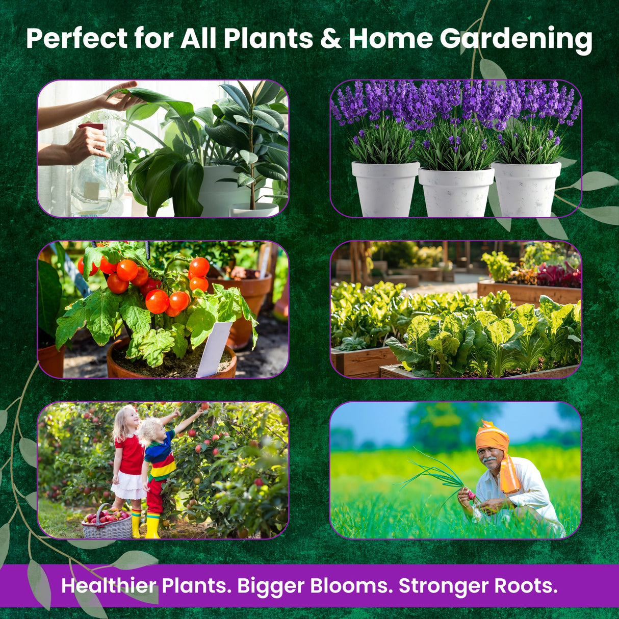 Epsom Salt - Magnesium Sulphate for Plants Growth and Home Garden | 100% Water Soluble Fertilizer | Enhances Photosynthesis & Nutrient Uptake
