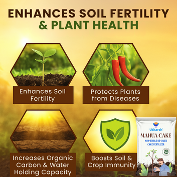 Mahua Oil Cake Fertilizer for Plants | Organic Compost Powder for Home Garden, Manure for Flowers, Vegetables & Lawn