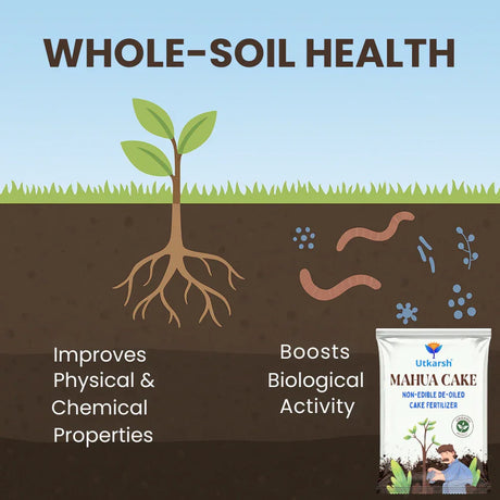 Mahua Oil Cake Fertilizer for Plants | Organic Compost Powder for Home Garden, Manure for Flowers, Vegetables & Lawn - Utkarsh Agrochem Pvt ltd. 