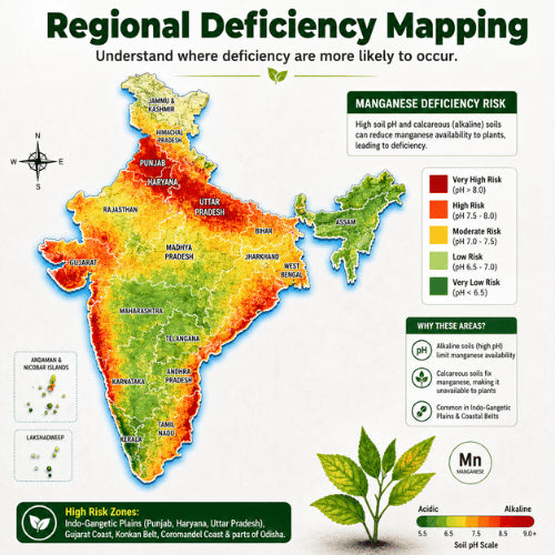 Regional Deficiency Map