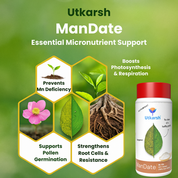 Manganese - 10% EDTA Chelated Micronutrient, 100% Water Soluble Fertilizers for Plants, Resistance to Root Pathogens, Enhances & Boosts Plant Growth | ManDate