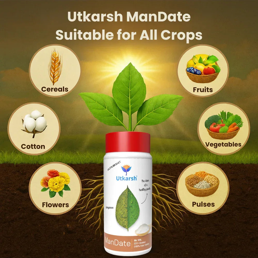 Manganese - 10% EDTA Chelated Micronutrient, 100% Water Soluble Fertilizers for Plants, Resistance to Root Pathogens, Enhances & Boosts Plant Growth | ManDate - Utkarsh Agrochem Pvt ltd. 