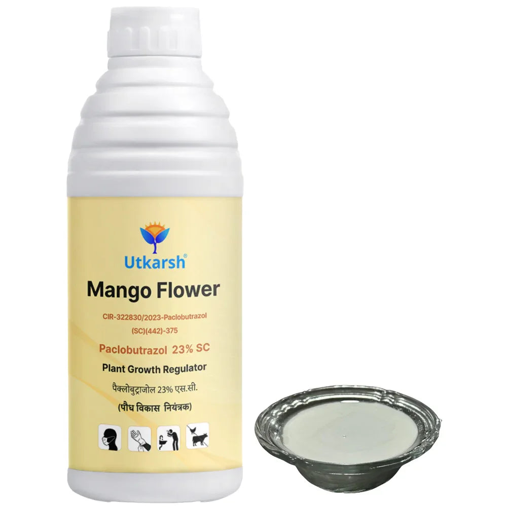 Mango Flower (Paclobutrazol 23% SC) | Plant Growth Regulator - Utkarsh Agrochem Pvt ltd. 