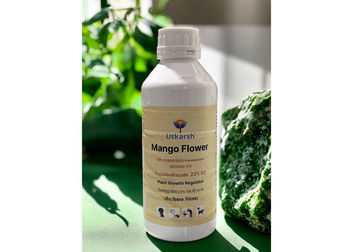 Mango Flower (Paclobutrazol 23% SC) | Plant Growth Regulator