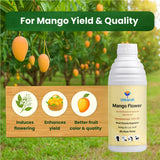 Mango Flower (Paclobutrazol 23% SC) | Plant Growth Regulator - Utkarsh Agrochem Pvt ltd. 