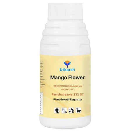Mango Flower (Paclobutrazol 23% SC) | Plant Growth Regulator - Utkarsh Agrochem Pvt ltd. 