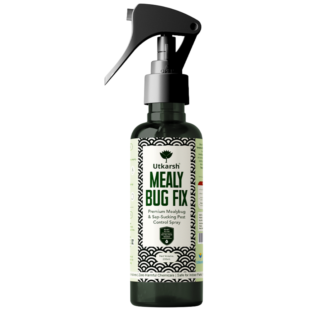 Mealy Bug Fix Spray for Plants | Organic Ready-to-Use Pest Control for Mealybugs, Aphids & Spider Mites | Pet Safe Plant Protection for Indoor Plants, Balcony & Home Garden