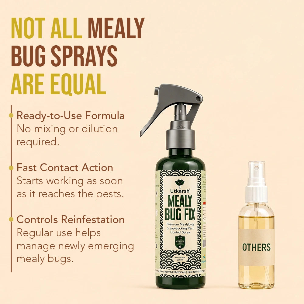 Mealy Bug Fix Spray for Plants | Organic Ready-to-Use Pest Control for Mealybugs, Aphids & Spider Mites | Pet Safe Plant Protection for Indoor Plants, Balcony & Home Garden