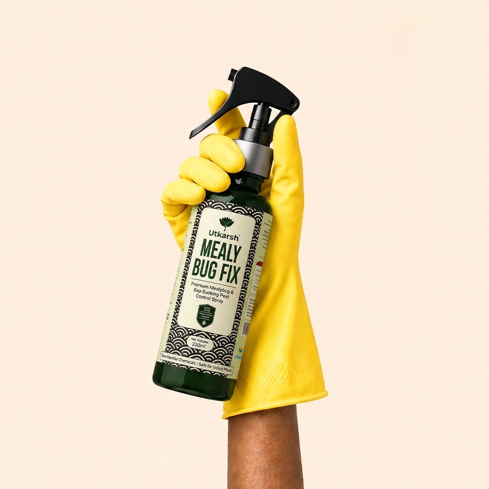 Mealy Bug Fix Spray for Plants | Organic Ready-to-Use Pest Control for Mealybugs, Aphids & Spider Mites | Pet Safe Plant Protection for Indoor Plants, Balcony & Home Garden