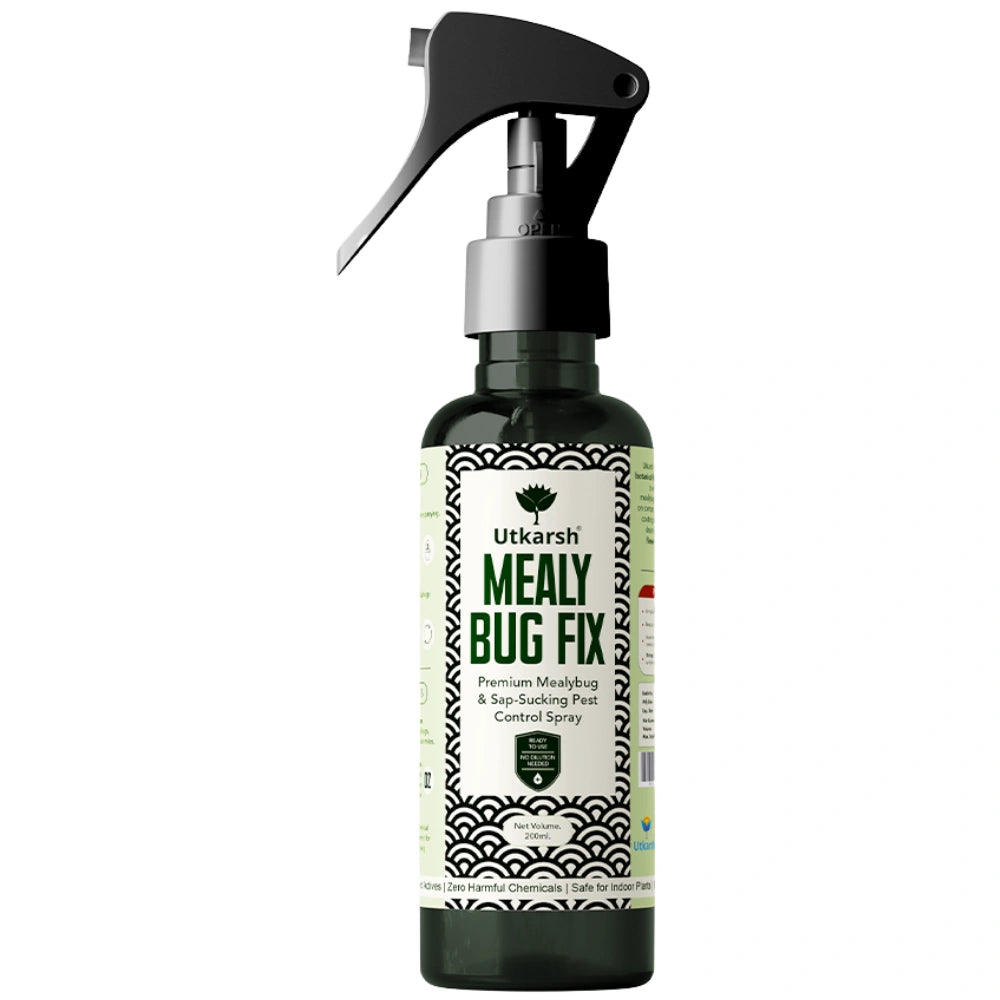 Mealy Bug Fix Spray for Plants | Organic Ready-to-Use Pest Control for Mealybugs, Aphids & Spider Mites | Pet Safe Plant Protection for Indoor Plants, Balcony & Home Garden