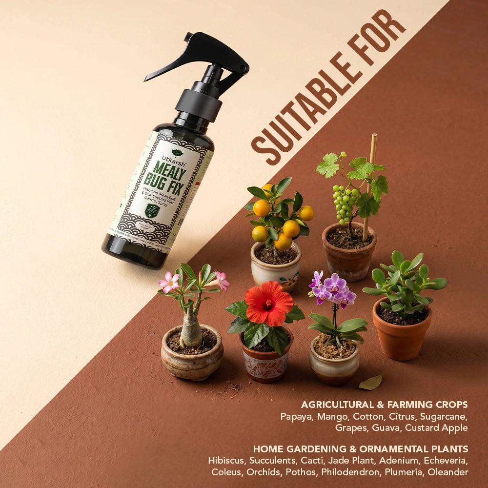 Mealy Bug Fix Spray for Plants | Organic Ready-to-Use Pest Control for Mealybugs, Aphids & Spider Mites | Pet Safe Plant Protection for Indoor Plants, Balcony & Home Garden