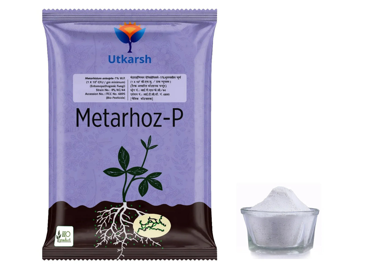 Metarhizium Anisopliae 1% W.P. 1 x 10^8 CFU/gm min. Bio Insecticides for Plants, Crops and Home Gardening - Metarhoz-P - Utkarsh Agrochem Pvt ltd. 