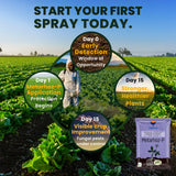 Metarhizium Anisopliae 1% W.P. 1 x 10^8 CFU/gm min. Bio Insecticides for Plants, Crops and Home Gardening - Metarhoz-P - Utkarsh Agrochem Pvt ltd. 