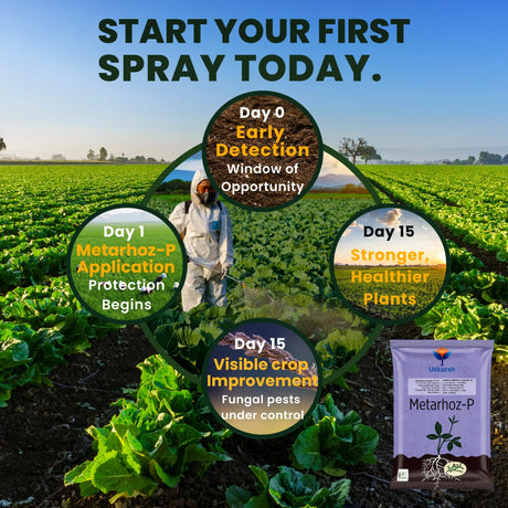 Metarhizium Anisopliae 1% W.P. 1 x 10^8 CFU/gm min. Bio Insecticides for Plants, Crops and Home Gardening - Metarhoz-P - Utkarsh Agrochem Pvt ltd. 