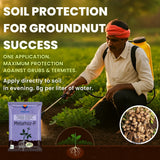 Metarhizium Anisopliae 1% W.P. 1 x 10^8 CFU/gm min. Bio Insecticides for Plants, Crops and Home Gardening - Metarhoz-P - Utkarsh Agrochem Pvt ltd. 