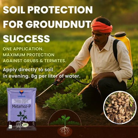 Metarhizium Anisopliae 1% W.P. 1 x 10^8 CFU/gm min. Bio Insecticides for Plants, Crops and Home Gardening - Metarhoz-P - Utkarsh Agrochem Pvt ltd. 