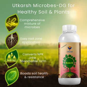 Microbes-DG (Combination of Beneficial Microbes) Bio Fertilizer for Natural NPK, Reduce pH & EC in Soil, Robust Plant Growth & Health, Cost-Effective & Ecofriendly