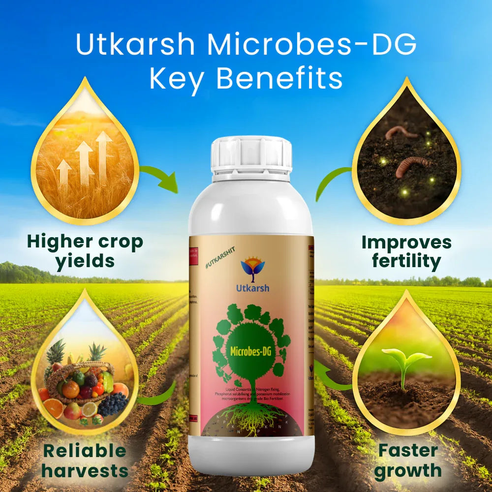 Microbes-DG (Combination of Beneficial Microbes) Bio Fertilizer for Natural NPK, Reduce pH & EC in Soil, Robust Plant Growth & Health, Cost-Effective & Ecofriendly - Utkarsh Agrochem Pvt ltd. 