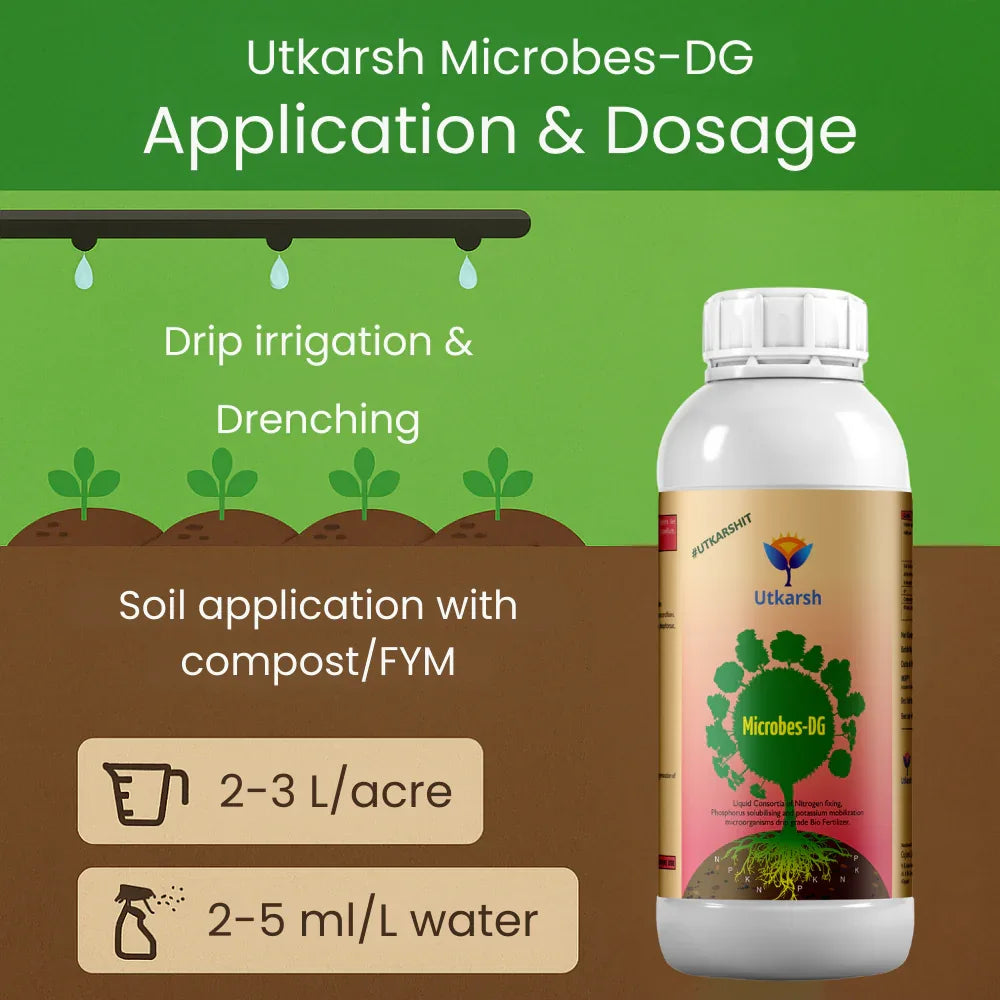 Microbes-DG (Combination of Beneficial Microbes) Bio Fertilizer for Natural NPK, Reduce pH & EC in Soil, Robust Plant Growth & Health, Cost-Effective & Ecofriendly - Utkarsh Agrochem Pvt ltd. 