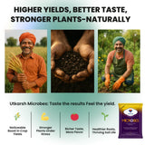 Microbes (Carrier Based Consortia - Azotobacter, Acetobacter, Rhizobium, Phosphorus Solubilizing Bacteria PSB, Potassium Mobilizing Bacteria KMB) - 25 Kg Pack - Utkarsh Agrochem Pvt ltd. 
