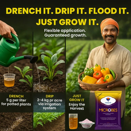 Microbes (Carrier Based Consortia - Azotobacter, Acetobacter, Rhizobium, Phosphorus Solubilizing Bacteria PSB, Potassium Mobilizing Bacteria KMB) - 25 Kg Pack - Utkarsh Agrochem Pvt ltd. 