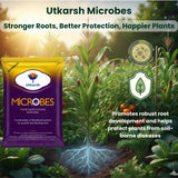 Microbes (Consortia - Azotobacter, Acetobacter, Rhizobium, Phosphorus Solubilizing Bacteria PSB, Potassium Mobilizing Bacteria KMB)