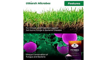 Microbes, 25 Kg Pack