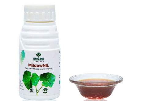 MildewNil - Plant Extract-Based Natural Fungicide - Utkarsh Agrochem Pvt ltd. 