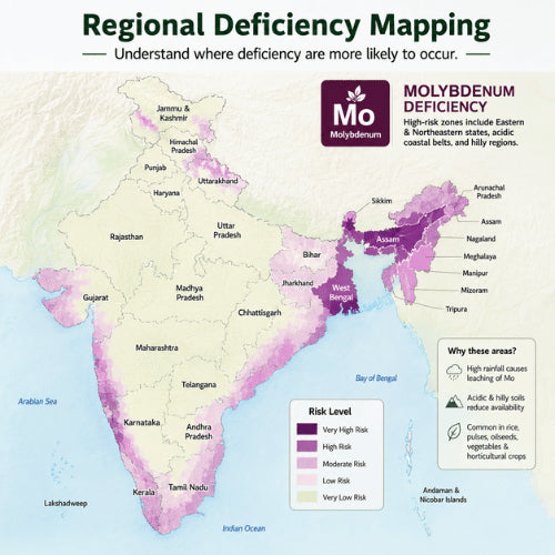 Regional Deficiency Map