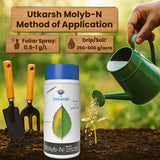 Ammonium Molybdate - Mo 52% Micronutrient, 100% Water Soluble Fertilizers for Plants Growth, Essential for Nitrogen Fixation, Corrects Molybdenum Deficiency | Molyb-N - Utkarsh Agrochem Pvt ltd. 