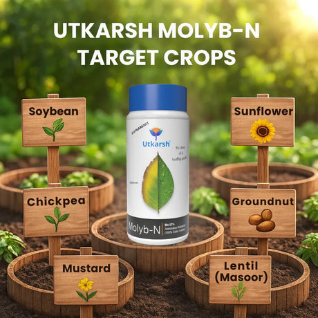 Ammonium Molybdate - Mo 52% Micronutrient, 100% Water Soluble Fertilizers for Plants Growth, Essential for Nitrogen Fixation, Corrects Molybdenum Deficiency | Molyb-N - Utkarsh Agrochem Pvt ltd. 