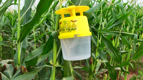Moth Trap (All Flying Moths) - Utkarsh Agrochem Pvt ltd. 