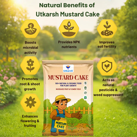 Utkarsh Mustard Cake Powder for Healthy Plants Growth, 100% Pure Organic Sarson Khali, Plant Food for Stronger Roots, Bigger Blooms, Healthier Harvests - Utkarsh Agrochem Pvt ltd. 