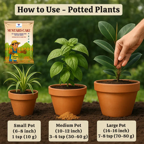 Utkarsh Mustard Cake Powder for Healthy Plants Growth, 100% Pure Organic Sarson Khali, Plant Food for Stronger Roots, Bigger Blooms, Healthier Harvests - Utkarsh Agrochem Pvt ltd. 