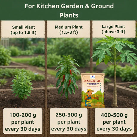 Utkarsh Mustard Cake Powder for Healthy Plants Growth, 100% Pure Organic Sarson Khali, Plant Food for Stronger Roots, Bigger Blooms, Healthier Harvests - Utkarsh Agrochem Pvt ltd. 
